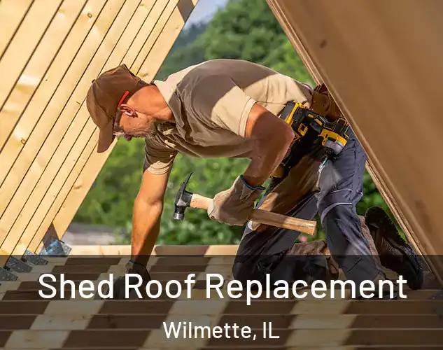  Shed Roof Replacement Wilmette, IL