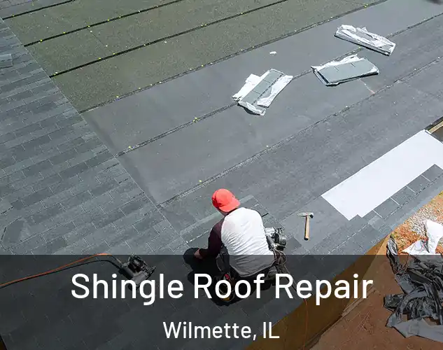  Shingle Roof Repair Wilmette, IL
